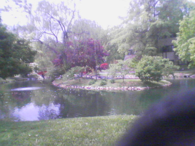 the serenity garden.jpg